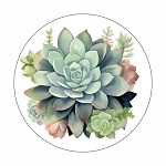 Succulent Plant  Round Dot Stickers Set